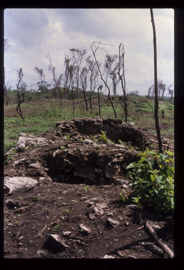 Pre-Excavation