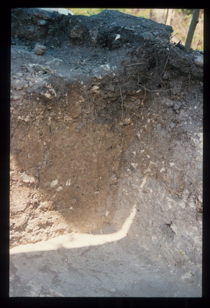 Excavation