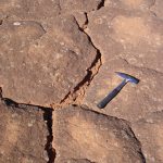 Large-scale polygonal cracks in surface beside large active lavaka. Bare ground with large-scale cracks like this is unusual
