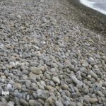 Imbricate beach pebbles .