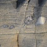 Cross-Bedding with large clasts in Del Rio Quartzite.