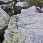 Cross-bedding in Precambrian quartzite.