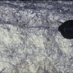 Intensely bioturbated bed. Gradient: turbation increases top to bottom. Top: bioturb. visible; then becomes more mixed looking; then massive; unstructured.