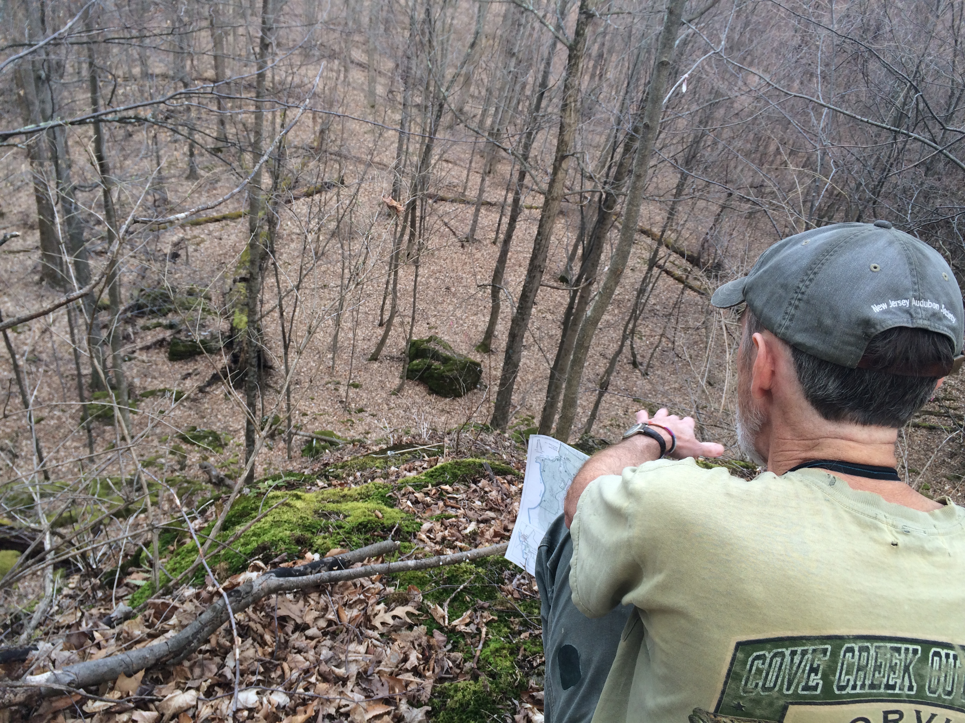Drew Jones, manager of Hopkins Memorial Forest, looks out at the old growth Beinecke stand.